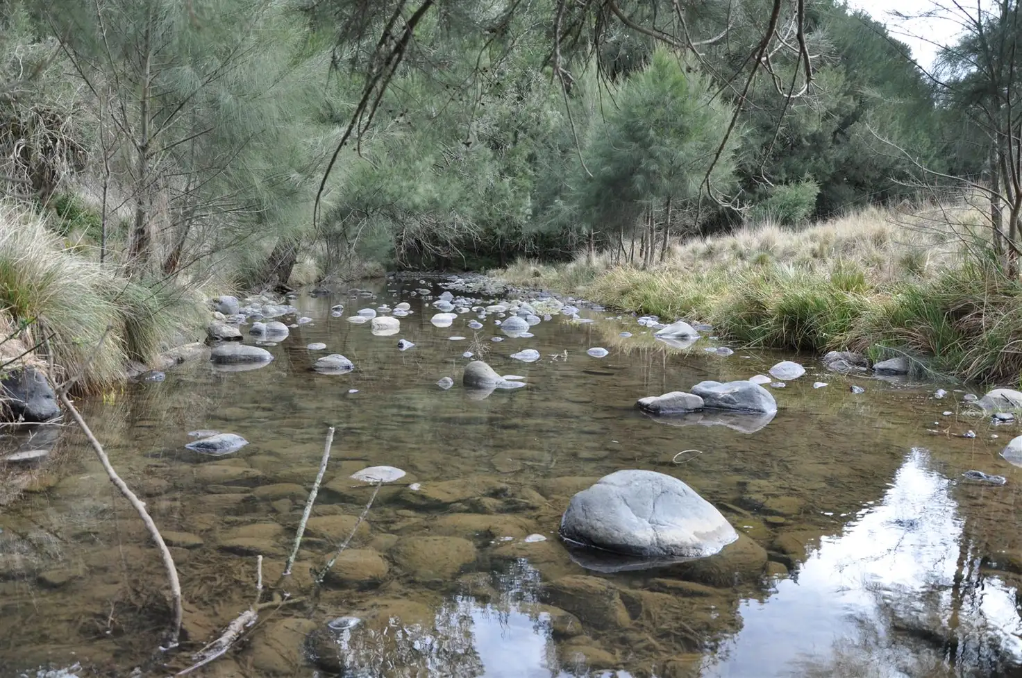 Main view of Homely rural property listing, Lot 58 Carters Rd, Stewarts Brook NSW 2337