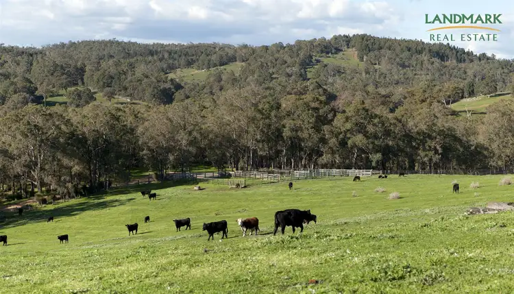 Sixth view of Homely rural property listing, 996 Beela Road, Beela WA 6224
