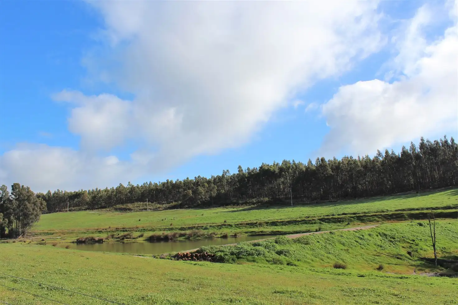 Main view of Homely rural property listing, 902 Takenup Road, Napier WA 6330