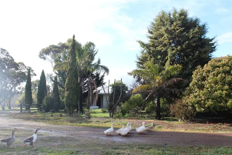 Fourth view of Homely rural property listing, 902 Takenup Road, Napier WA 6330