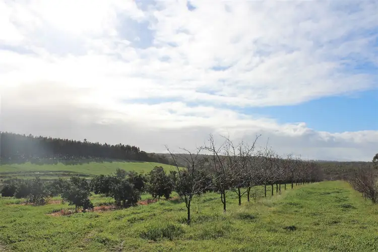 Fifth view of Homely rural property listing, 902 Takenup Road, Napier WA 6330