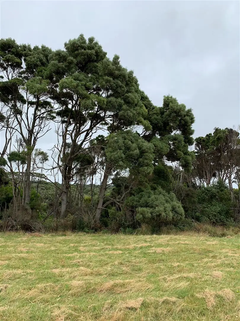 Main view of Homely land listing, 19 Skyline Drive, Naracoopa TAS 7256