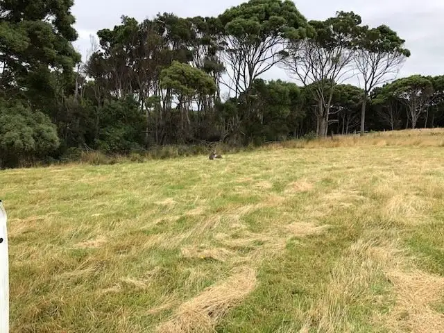 Third view of Homely land listing, 19 Skyline Drive, Naracoopa TAS 7256