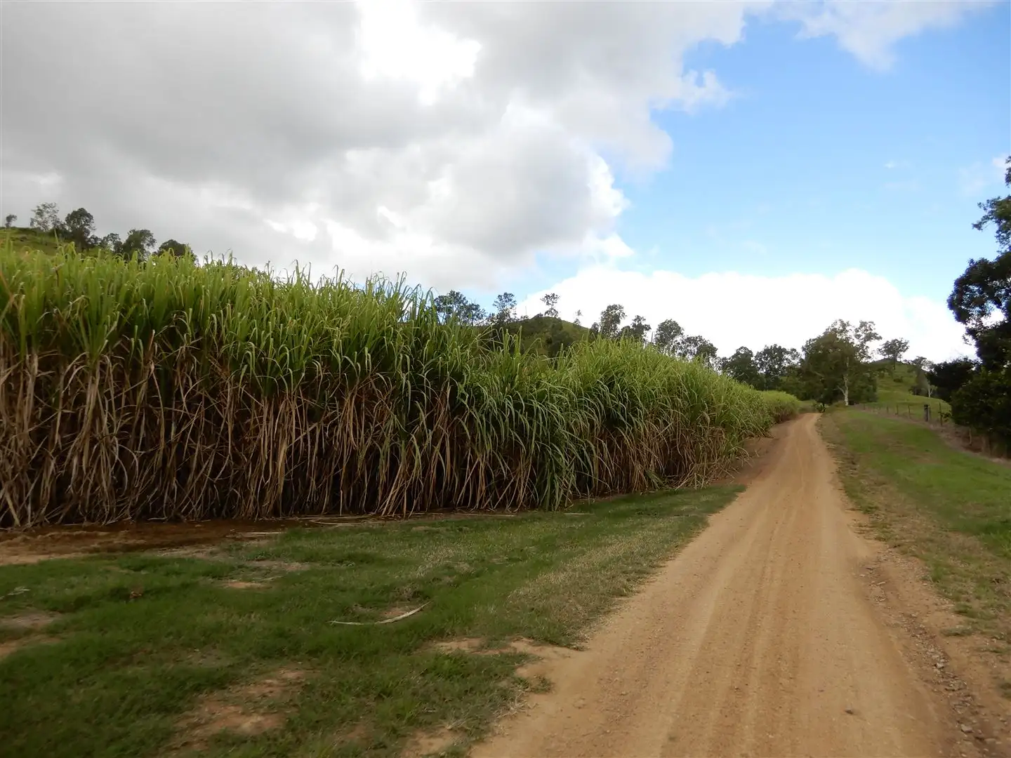 Main view of Homely rural property listing, Address available on request
