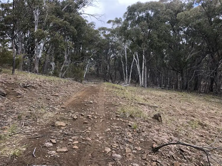 Main view of Homely rural property listing, 3000/Nullo Mountain Road Nullo Mountain Road, Nullo Mountain, Rylstone NSW 2849