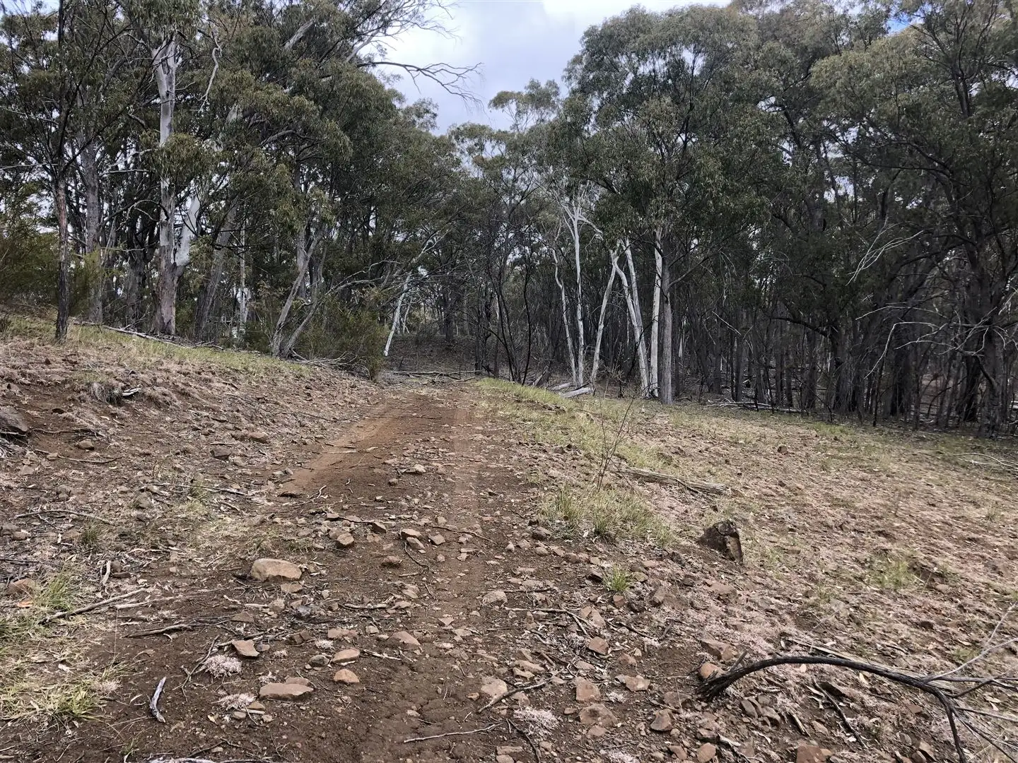 Main view of Homely rural property listing, 3000/Nullo Mountain Road Nullo Mountain Road, Nullo Mountain, Rylstone NSW 2849