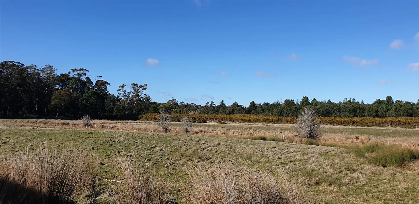 Main view of Homely land listing, 52 Gibbs Street, Beaconsfield TAS 7270