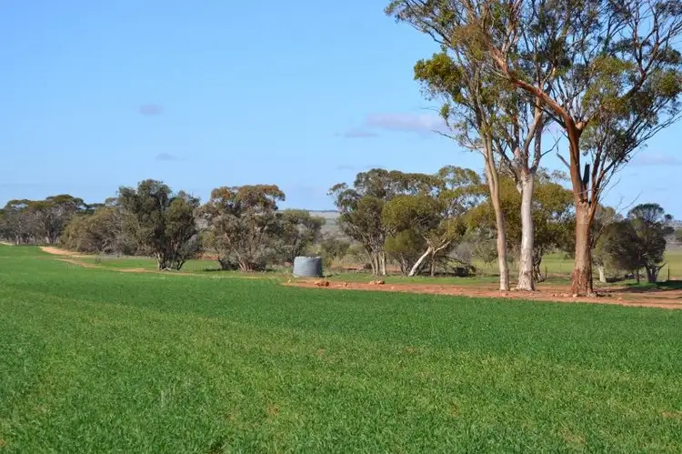 Main view of Homely rural property listing, * Minniberri Farms, Kununoppin WA 6489