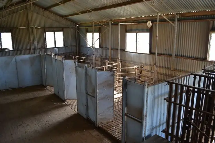 Third view of Homely rural property listing, * Minniberri Farms, Kununoppin WA 6489