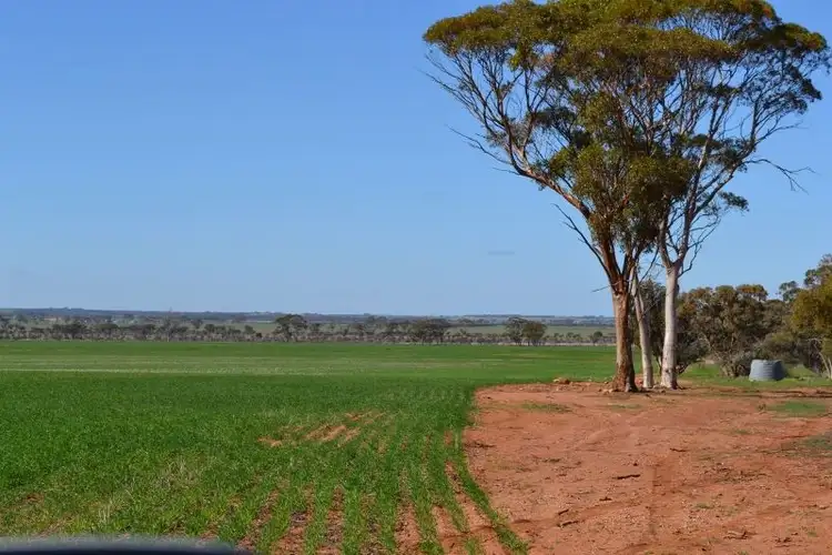 Fifth view of Homely rural property listing, * Minniberri Farms, Kununoppin WA 6489