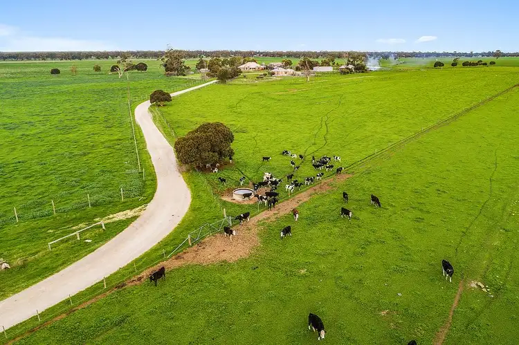 Fourth view of Homely rural property listing, 209 Pigeon Flat Road, Bordertown SA 5268