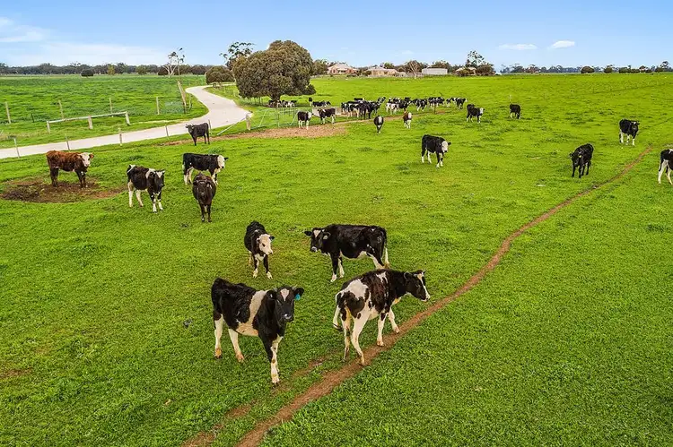 Fifth view of Homely rural property listing, 209 Pigeon Flat Road, Bordertown SA 5268