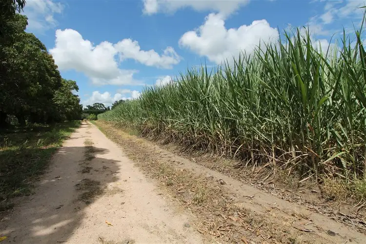 Main view of Homely rural property listing, 18 Burdekin Road, Home Hill QLD 4806