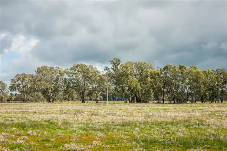 Sixth view of Homely rural property listing, 000 Violet Town Murchison Road, Violet Town VIC 3669