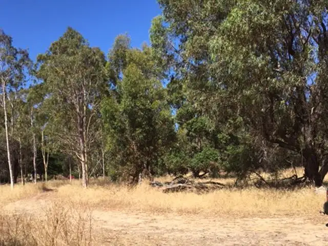 Fifth view of Homely rural property listing, 115 Clifton Downs Road, Herron WA 6211