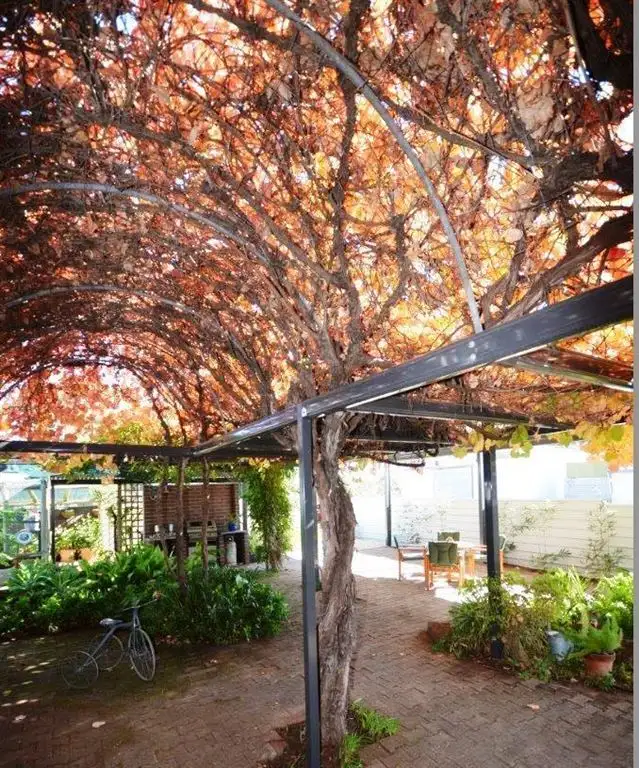 Third view of Homely house listing, 11-13 Chandos Terrace, Lameroo SA 5302