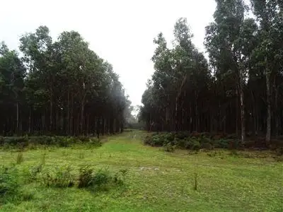 Fourth view of Homely rural property listing, 103ha Ansons Bay Road, St Helens TAS 7216