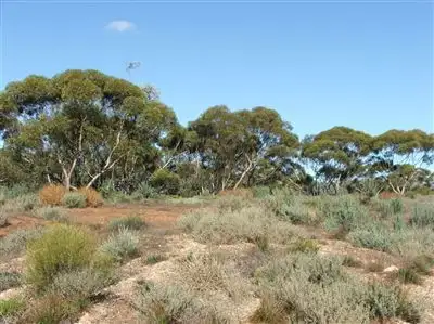 Fourth view of Homely rural property listing, Sec.561 Sturt Highway, Monash SA 5342