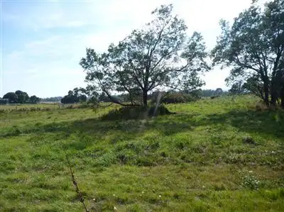 Third view of Homely land listing, 40 Weld Street, Beaconsfield TAS 7270