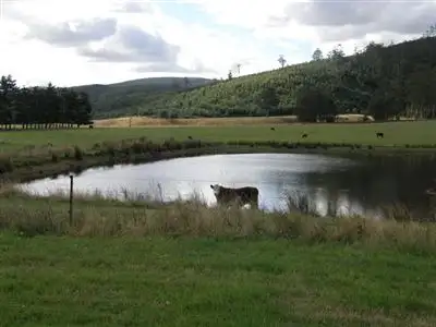 Third view of Homely rural property listing, 1140 New River Road, Ringarooma TAS 7263