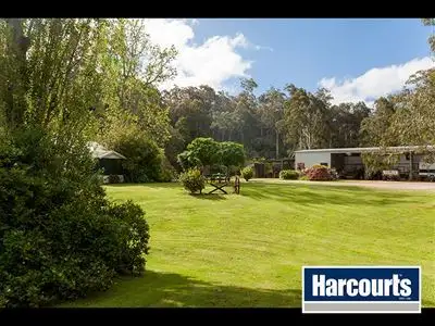 Seventh view of Homely rural property listing, 155 Beards Track, Shady Creek VIC 3821