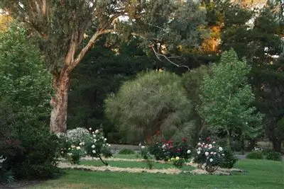 Sixth view of Homely rural property listing, 51 Hillview Road, Euroa VIC 3666