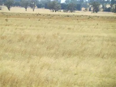 Seventh view of Homely rural property listing, Address available on request