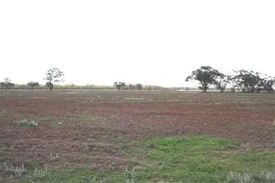 Seventh view of Homely rural property listing, 12505 Merri Merri Rd, Coonamble NSW 2829