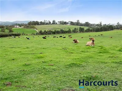 Third view of Homely rural property listing, 46 Forest Road, Labertouche VIC 3816