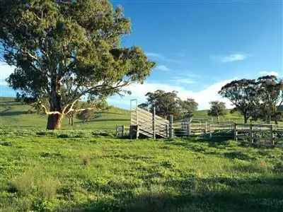 Third view of Homely rural property listing, 163 McLeishes Road, Yea VIC 3717