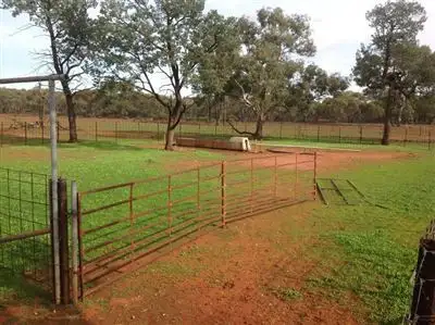 Third view of Homely rural property listing, Wangaroa/4577 Trida Road, Hillston NSW 2675