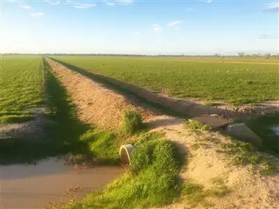 Third view of Homely rural property listing, Westaway Bartletts Road, Deniliquin NSW 2710