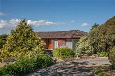 Main view of Homely house listing, 13 Acton Drive, Acton Park TAS 7170