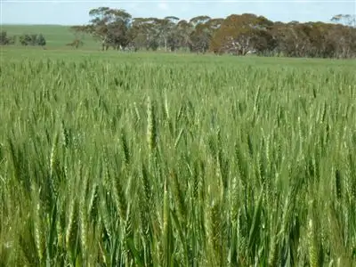 Second view of Homely rural property listing, Address available on request