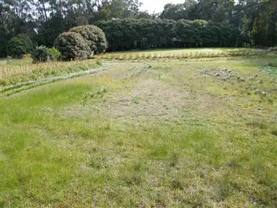 Fourth view of Homely rural property listing, 870 Gembrook-Launching Place Road, Hoddles Creek VIC 3139