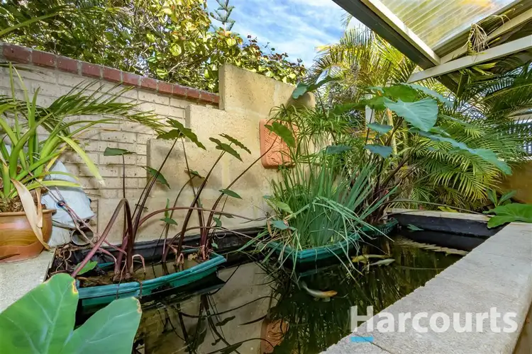 Seventh view of Homely house listing, 74 Floribunda Avenue, Halls Head WA 6210