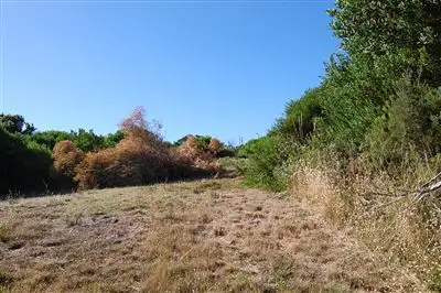 Third view of Homely land listing, Lot 25 Lord Liverpool Drive, Low Head TAS 7253
