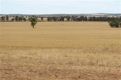 Sixth view of Homely rural property listing, . "MEDINA", TULLIBIGEAL, West Wyalong NSW 2671