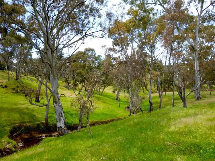 Third view of Homely rural property listing, 109 Bassnet Road,, Humbug Scrub SA 5114