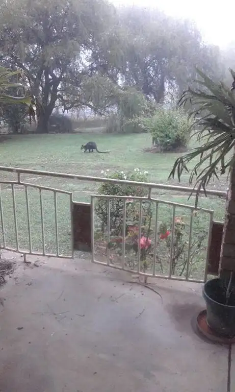 Third view of Homely rural property listing, Address available on request