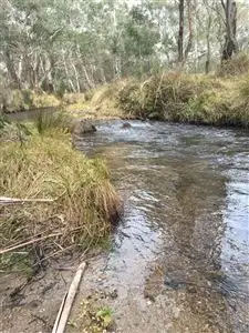 Lot 201 Hereford Hall Road, Braidwood NSW 2622