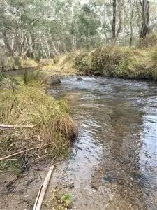 Main view of Homely rural property listing, Lot 201 Hereford Hall Road, Braidwood NSW 2622