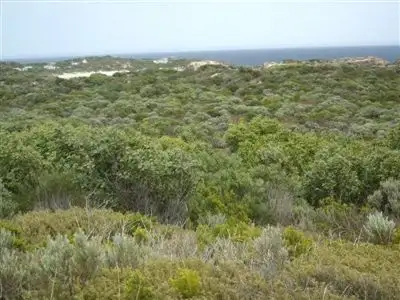 Fourth view of Homely rural property listing, . Nora Creina, Robe SA 5276