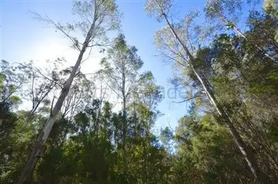 Main view of Homely land listing, 1 North Street, Elizabeth Town TAS 7304