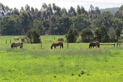 Second view of Homely rural property listing, 60a Yarragon Shady Creek Road, Yarragon VIC 3823