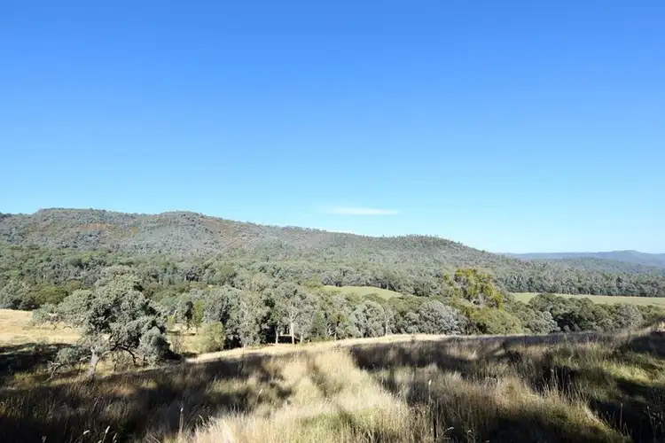Second view of Homely rural property listing, 2250 Benalla - Whitfield Road, Myrrhee VIC 3732