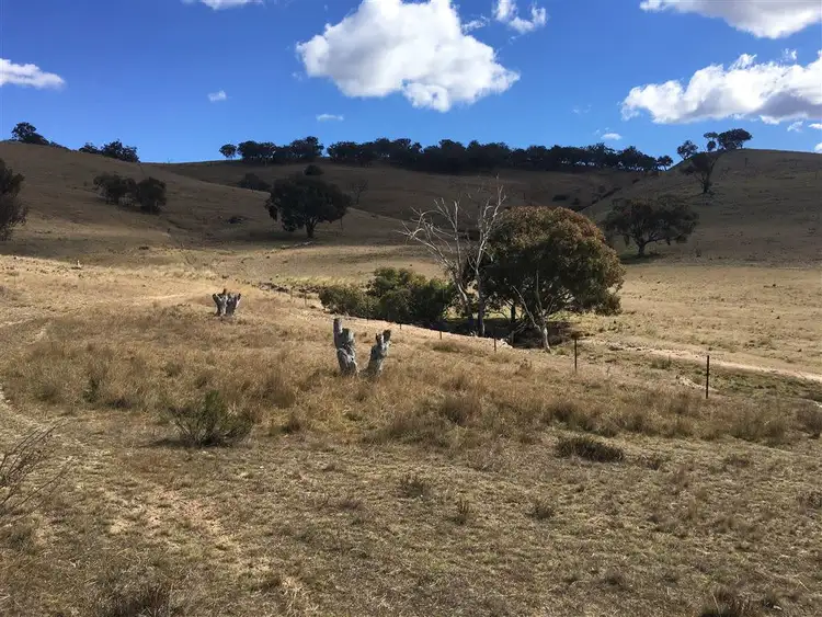 Second view of Homely rural property listing, L95/1191 Campbells Creek Rd, Mudgee NSW 2850