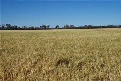 Main view of Homely rural property listing, 8418 Come By Chance Road, Pilliga NSW 2388