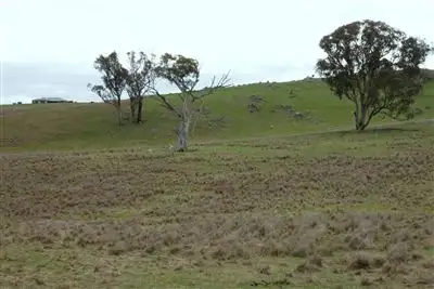 Lot 170 Reynolds Lane, Binalong NSW 2584