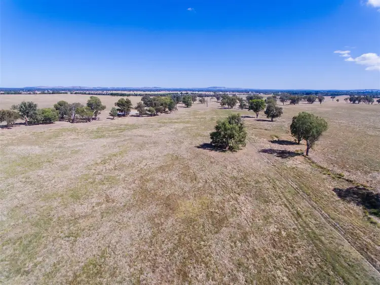Second view of Homely rural property listing, "Hillview"/186 Wagga Road, Holbrook NSW 2644